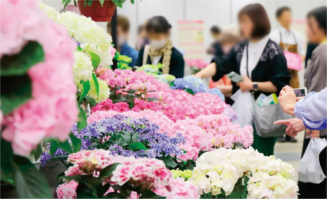 ニッポン花ざかり