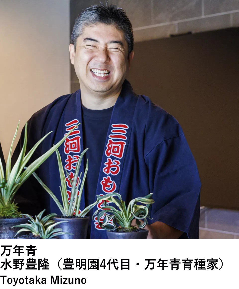 水野 豊隆