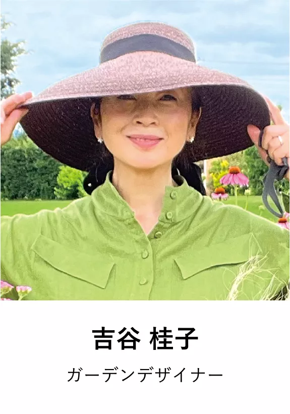 吉谷 桂子