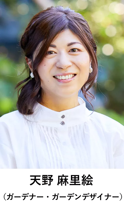 天野麻里絵