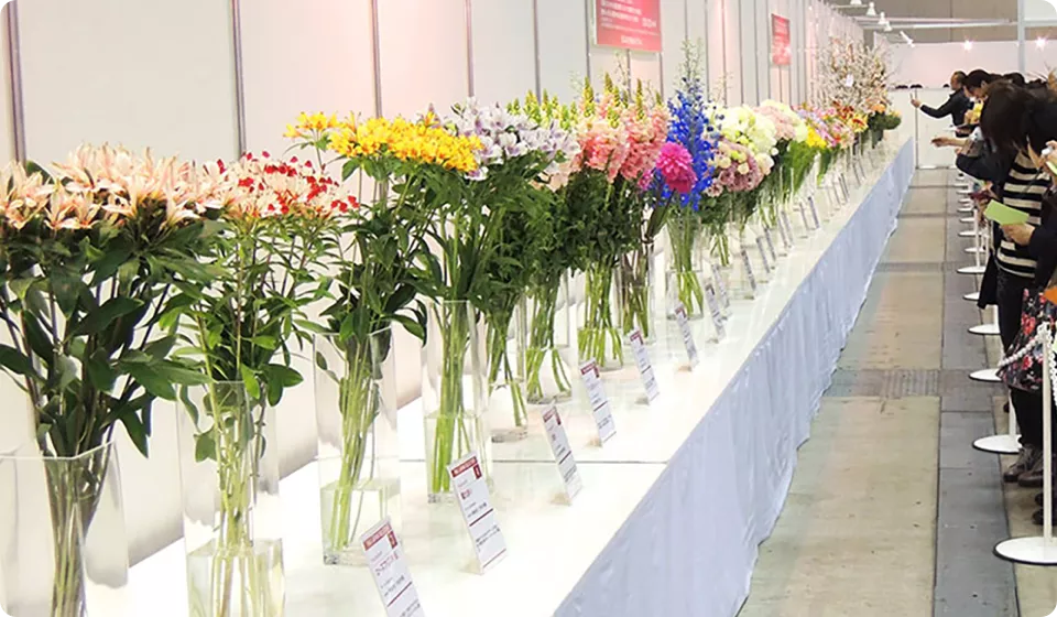 ジャパンセレクション