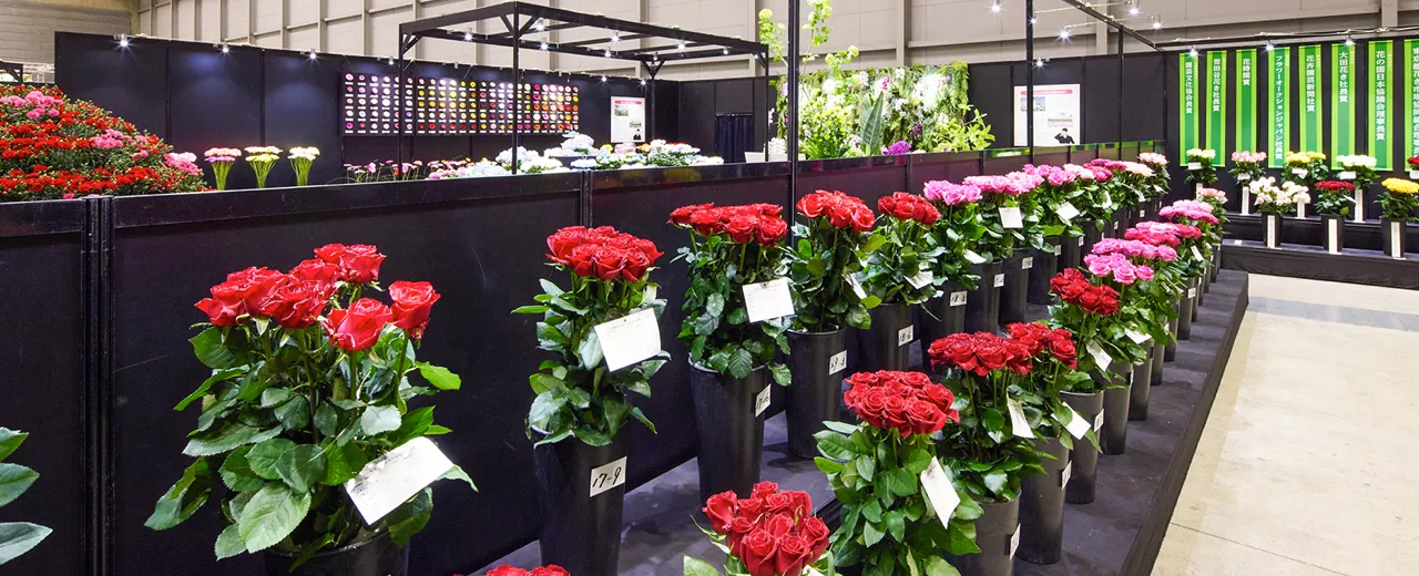 日本ばら切花品評会